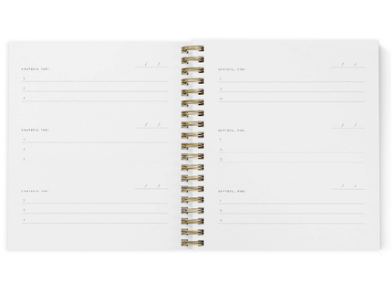 Mini Gratitude Journal - Light Sage - ColorSwatch