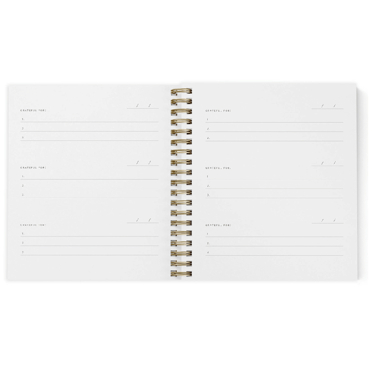 Mini Gratitude Journal - Light Sage - ColorSwatch