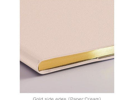 Planificador Mensual 2026 - B6 Fleek - Champagne Gold - ColorSwatch