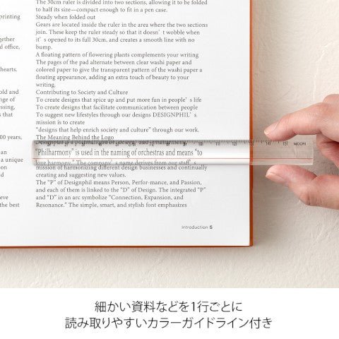 Regla Lupa - Transparente - ColorSwatch