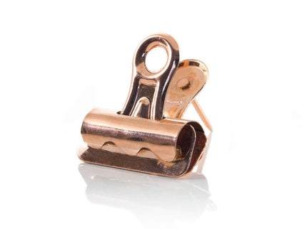 Rosegold Pushpin Clips - ColorSwatch