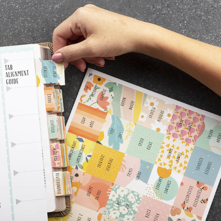 Separadores de Biblia - Alegria - ColorSwatch