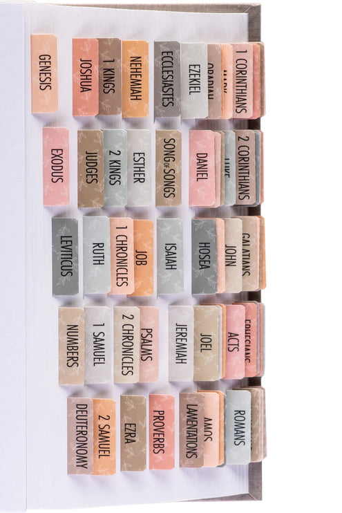 Separadores de Biblia - Earthy - ColorSwatch