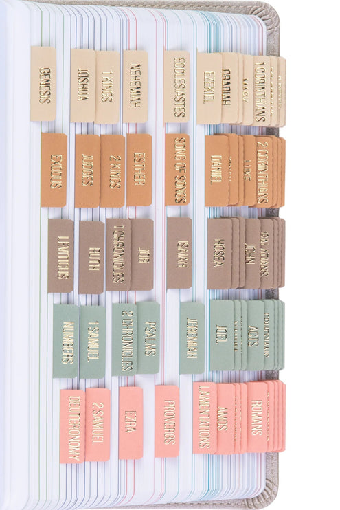 Separadores de Biblia - Meadow - ColorSwatch