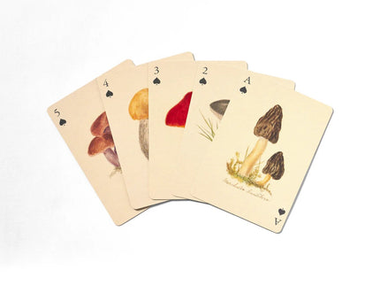 Set de Naipes - Fungi - ColorSwatch