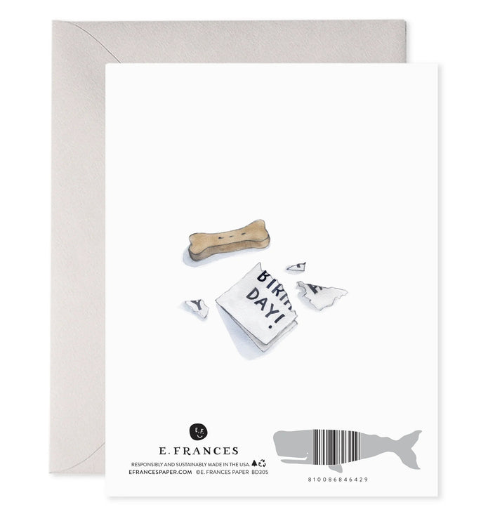 Sheepdog Belated - Tarjeta Día de Cumpleaños - ColorSwatch