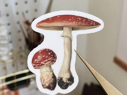 Sticker de Vinilo - Mushroom - ColorSwatch