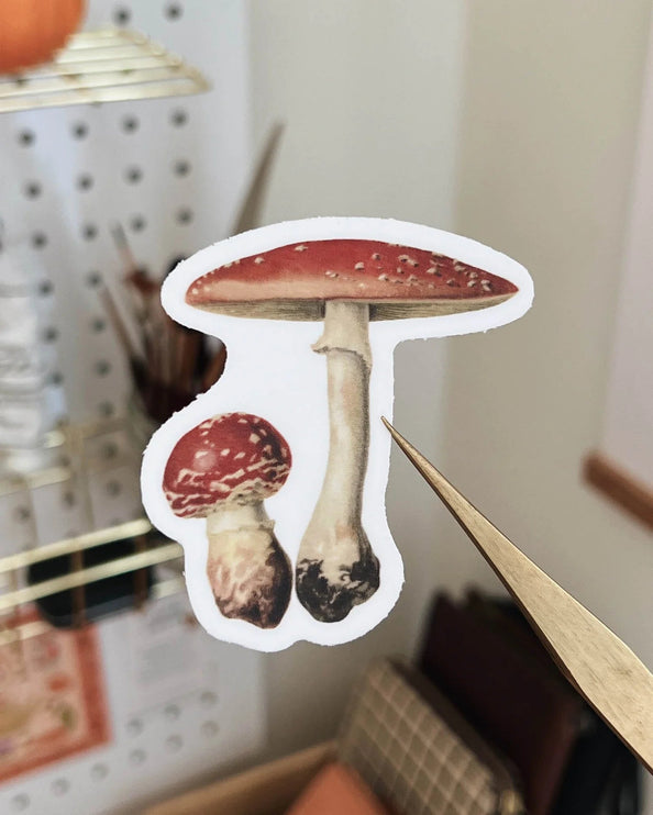 Sticker de Vinilo - Mushroom - ColorSwatch