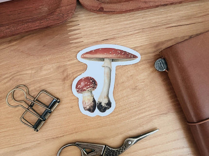 Sticker de Vinilo - Mushroom - ColorSwatch