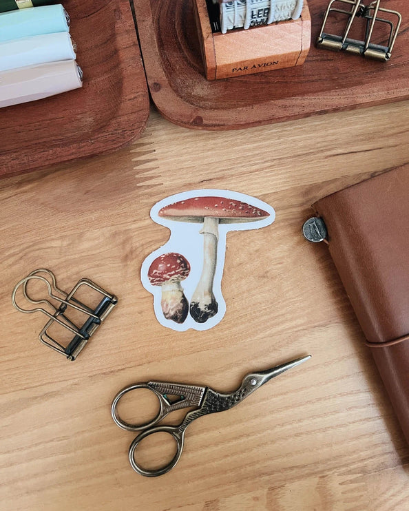 Sticker de Vinilo - Mushroom - ColorSwatch