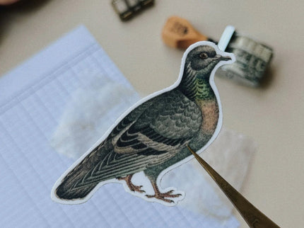Sticker de Vinilo - Vintage Pigeon - ColorSwatch