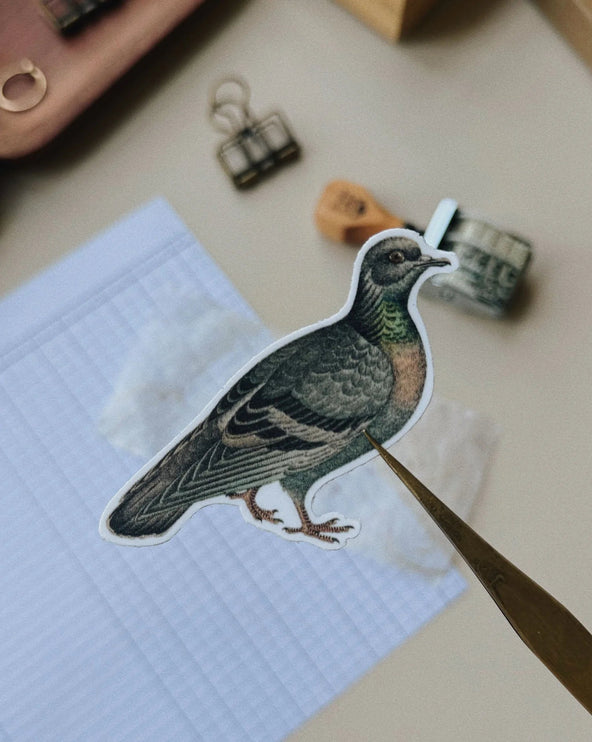 Sticker de Vinilo - Vintage Pigeon - ColorSwatch