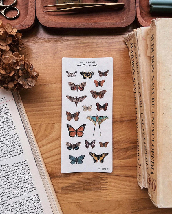 Stickers - Butterflies & Moths - ColorSwatch