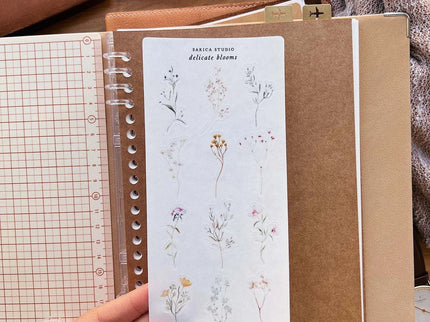 Stickers - Delicate Bloom - ColorSwatch