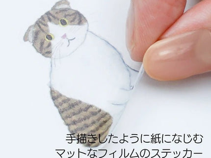 Stickers Mate - Gatos (Yusuke Yonezu) - ColorSwatch