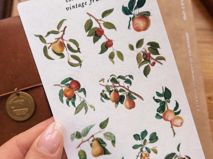 Stickers - Vintage Fruit - ColorSwatch