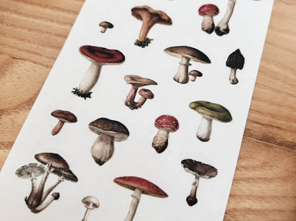 Stickers - Vintage Mushroom - ColorSwatch