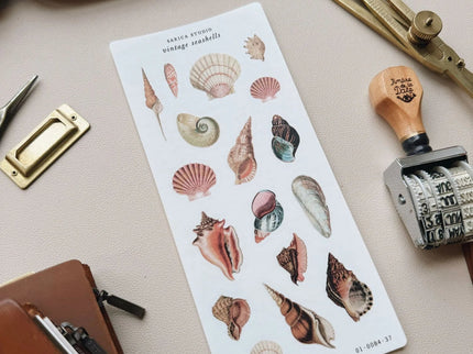 Stickers - Vintage Seashells - ColorSwatch