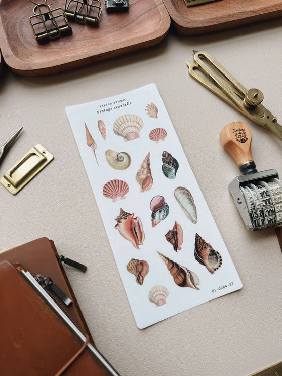 Stickers - Vintage Seashells - ColorSwatch