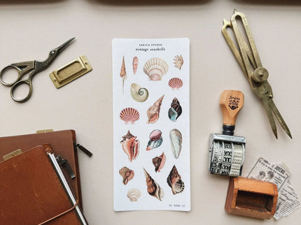 Stickers - Vintage Seashells - ColorSwatch
