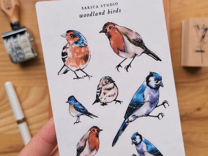 Stickers - Woodland Birds - ColorSwatch