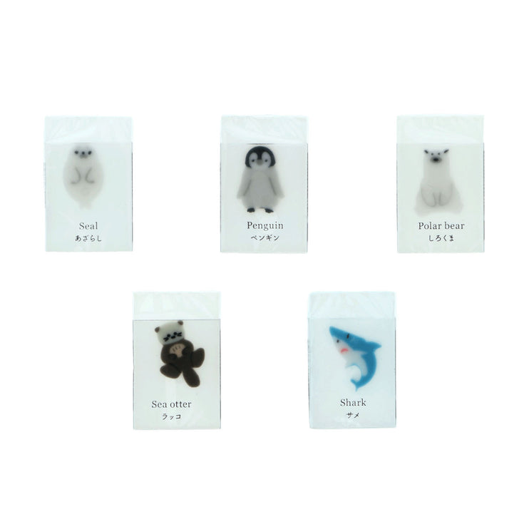 Borradores Sun star - Sea creatures in Ice - Foca