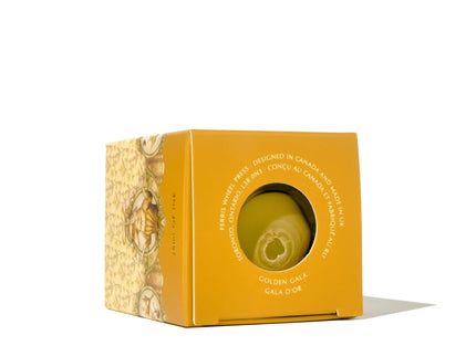 Tinta Caligráfica - Golden Gala - ColorSwatch