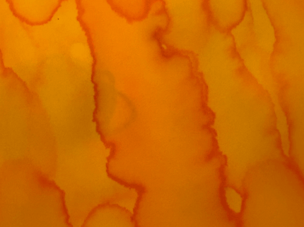 Tinta - Marygold - ColorSwatch