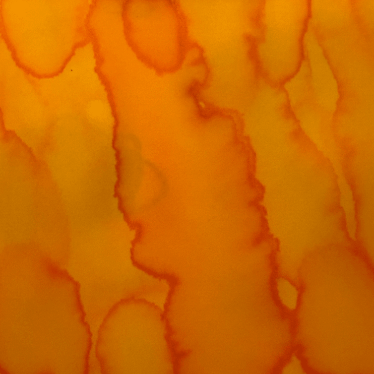 Tinta - Marygold - ColorSwatch