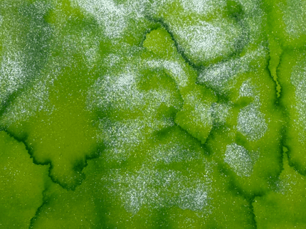 Tinta Shimmertastic - Neon Lime - ColorSwatch