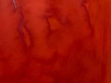 Tinta - Tulip - ColorSwatch