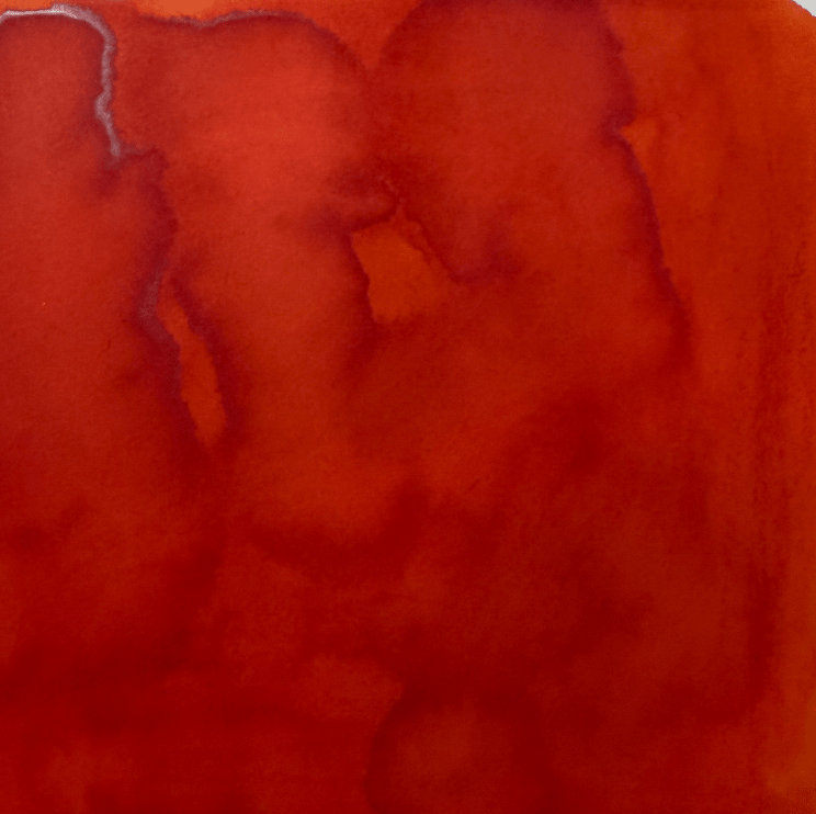 Tinta - Tulip - ColorSwatch