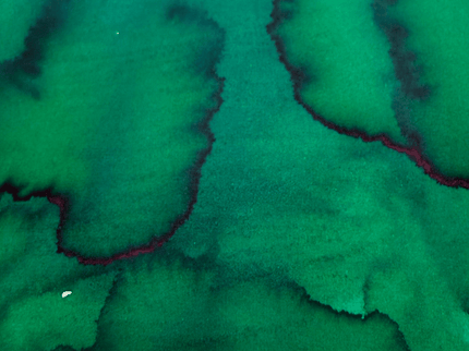 Tinta - Woodland Green - ColorSwatch
