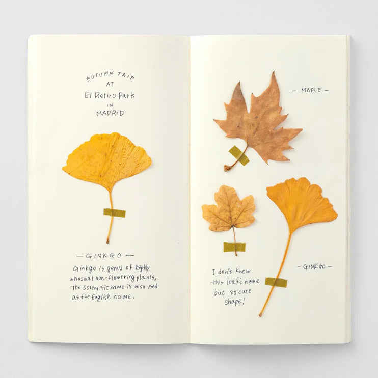 TRAVELER's notebook Refill - Regular Size - 025 MD Paper Cream - ColorSwatch