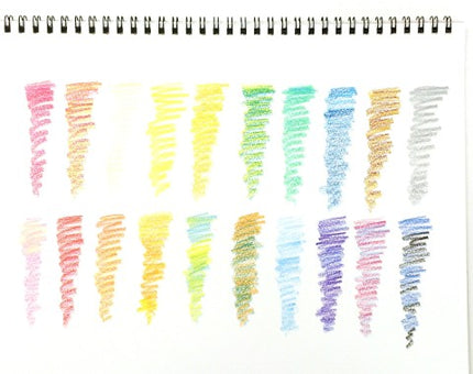 Crayones Multicolor - Set de 20