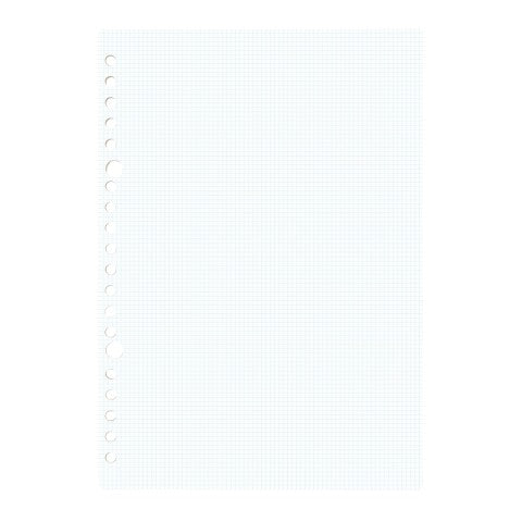 Hojas para Cartapacios A5 - Fleek - Cuadrícula 2mm