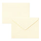 Set de Cartas y Sobres + Stickers - Flores