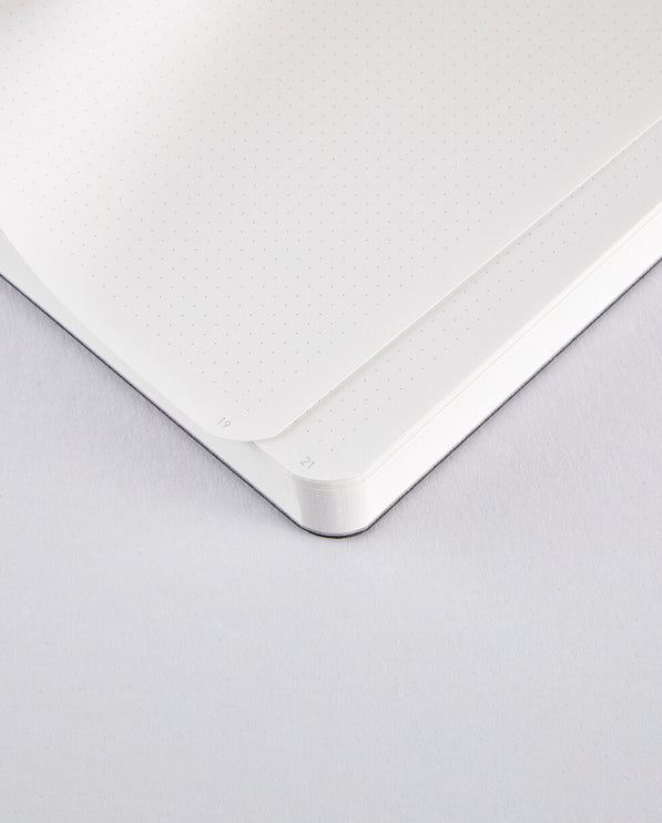 Notebook Shiny Starlet S - Silver