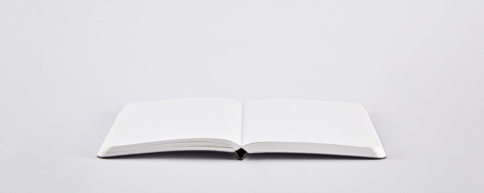 Notebook Shiny Starlet S - Silver