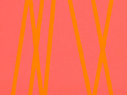 Cuaderno Color Clash  - L Light - Mori