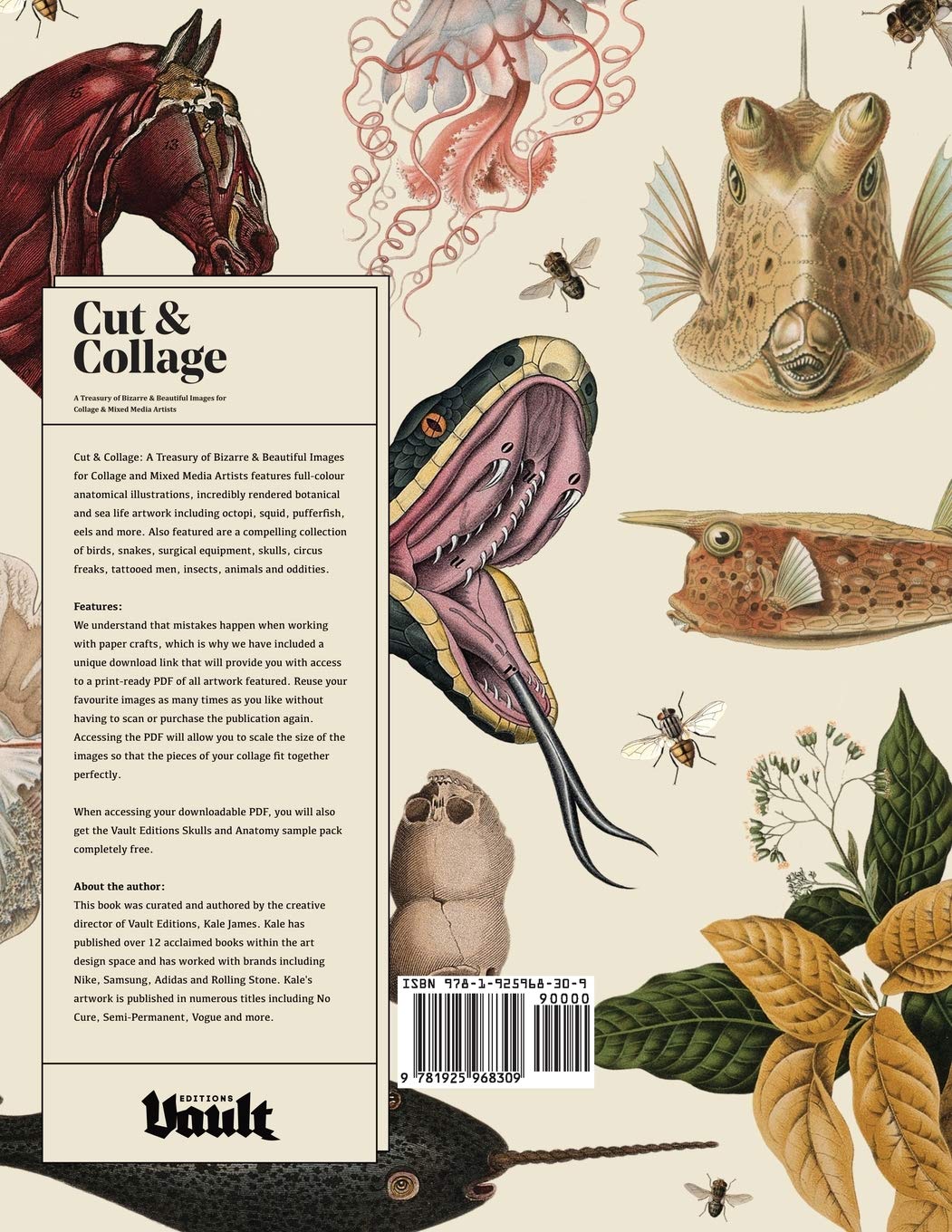 Cut & Collage Book - Bizarre Vol 1