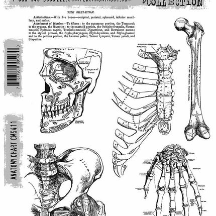 Collection image for: Sellos de hule