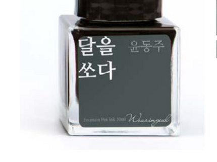 Tinta 30mL - Shoot the Moon