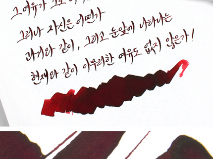 Tinta 30mL - Human Issues