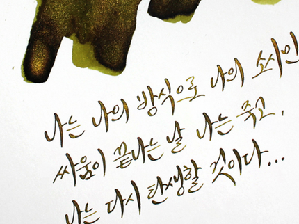 Tinta 30mL - Path