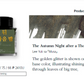 Tinta 30mL- The Autumn Night After a Thousand Years