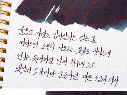 Tinta 30mL - Black Dream