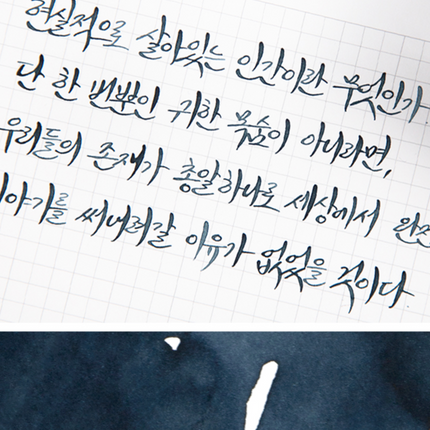 Tinta 30mL - Mature
