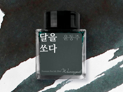 Tinta 30mL - Shoot the Moon