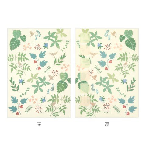 Clear Folder - Set de 2 - Plantas - ColorSwatch